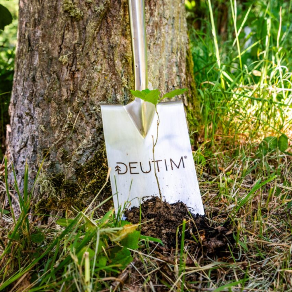 Forest area in Augsburg where trees will be planted by ARTDECO together with DEUTIM for the next 10 years