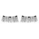 Magnetic Lashes