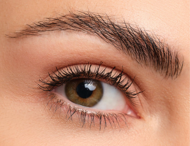 Close-up on the model's eye to show how to make up a natural eyebrow